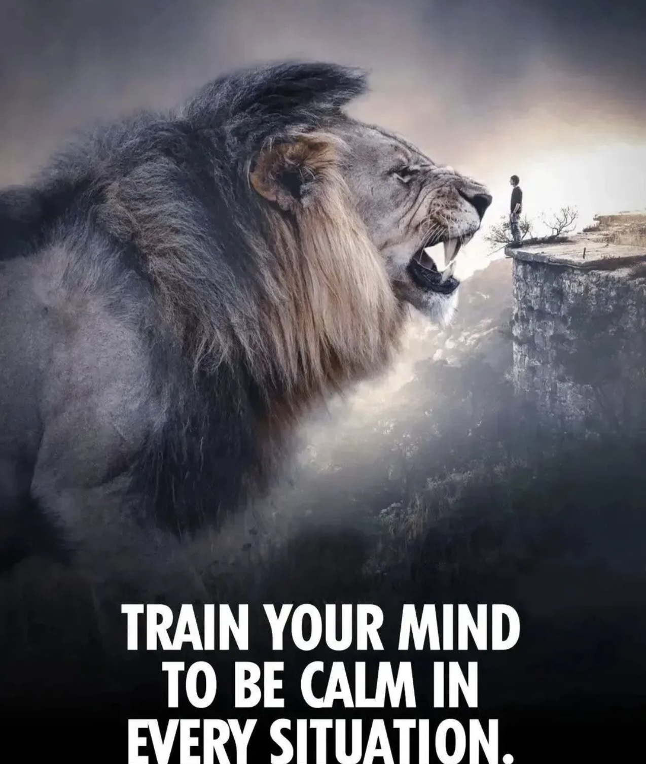 Train Your Mind - Stumbit Quotes